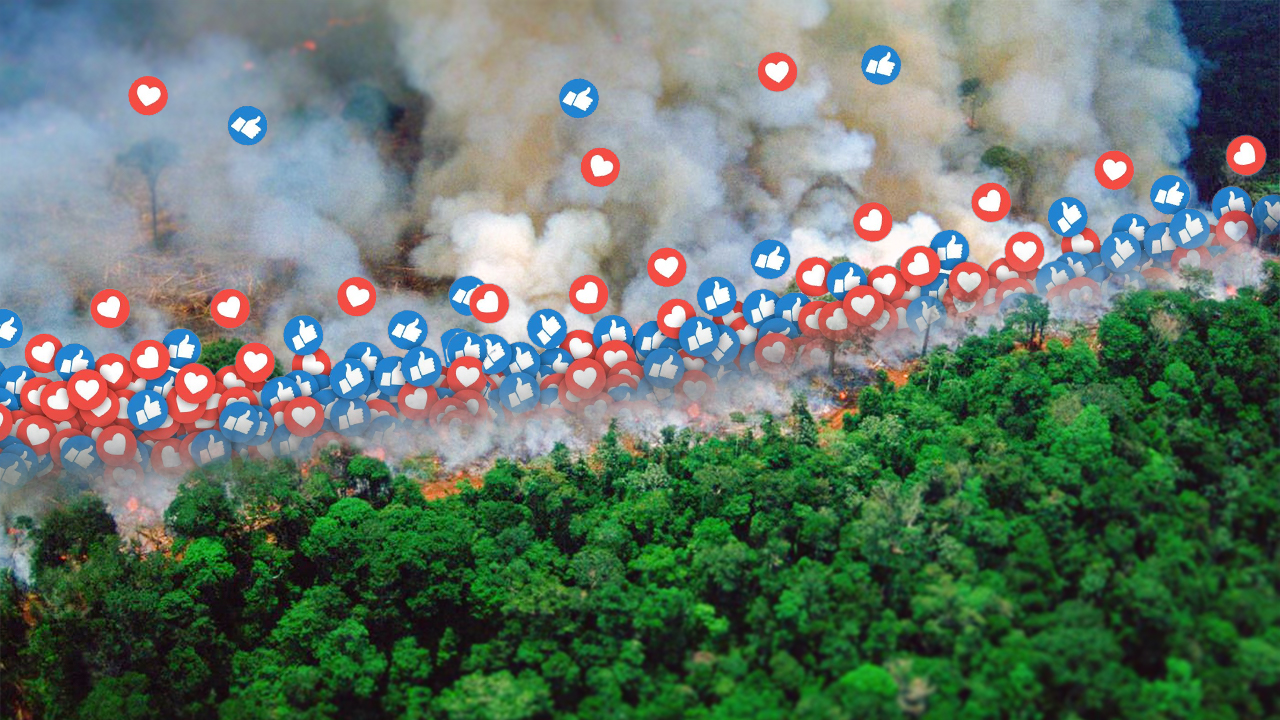 Forests burn because we use Facebook